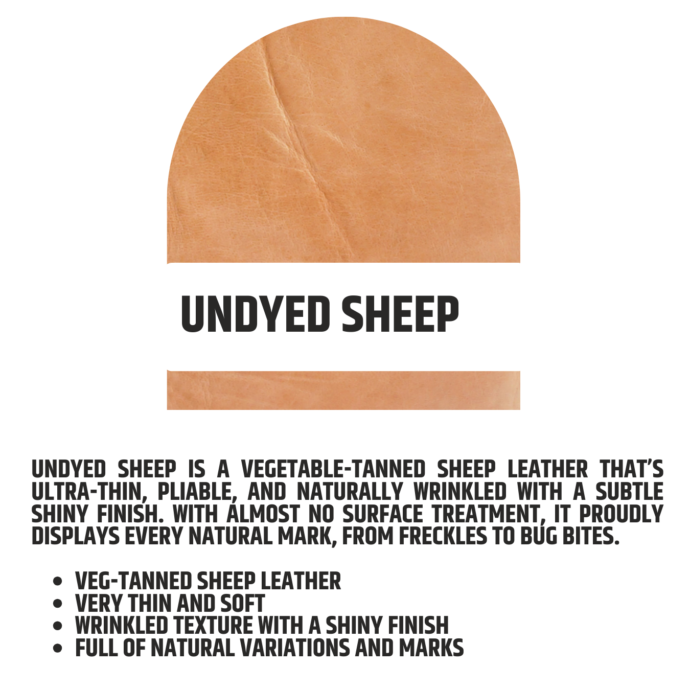 Undyed Sheep