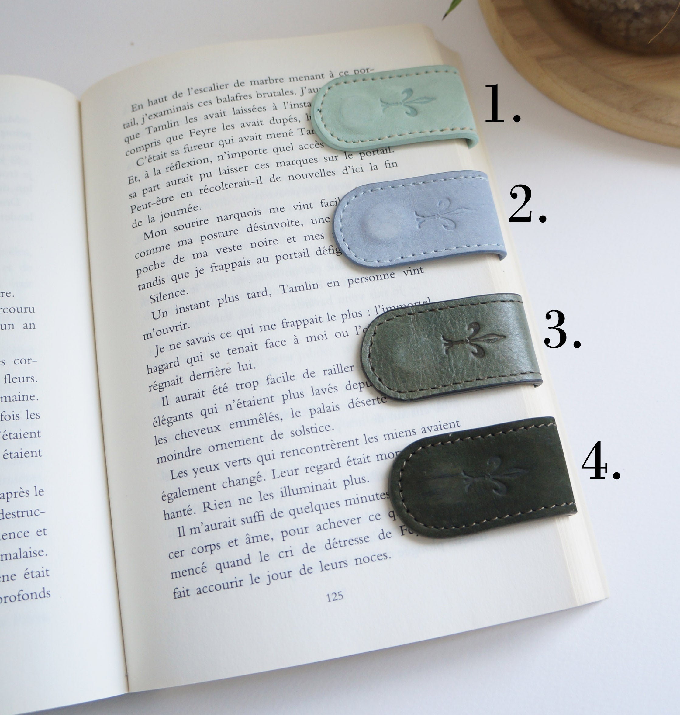 Magnetic Bookmarks - Blue and Green