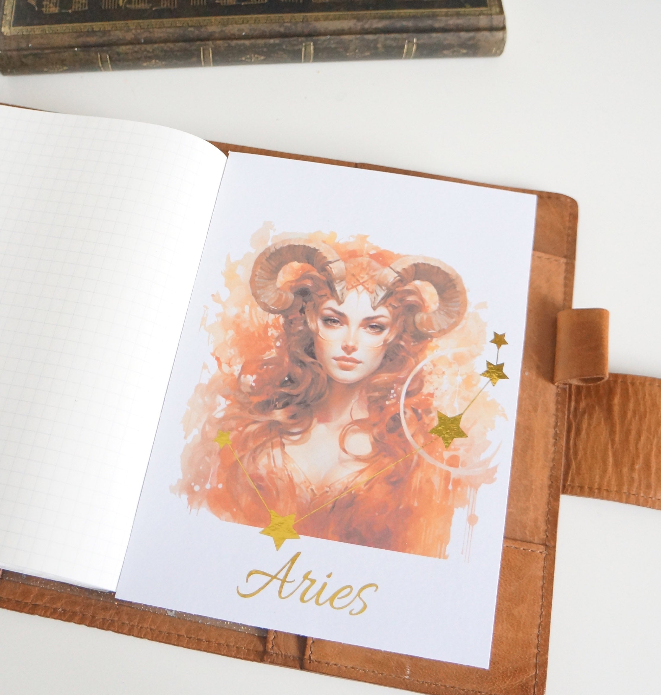 Zodiac Sign Dolls Planner Dashboard - Exclusive