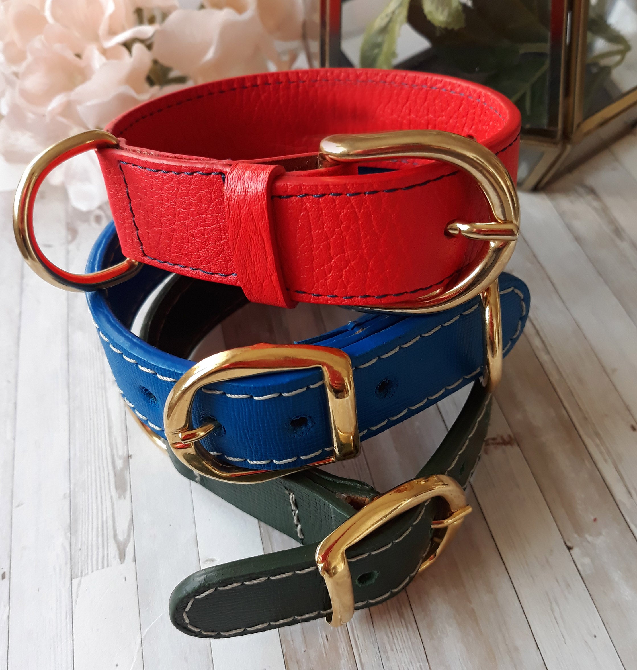 Dog collars - Naya Paperie