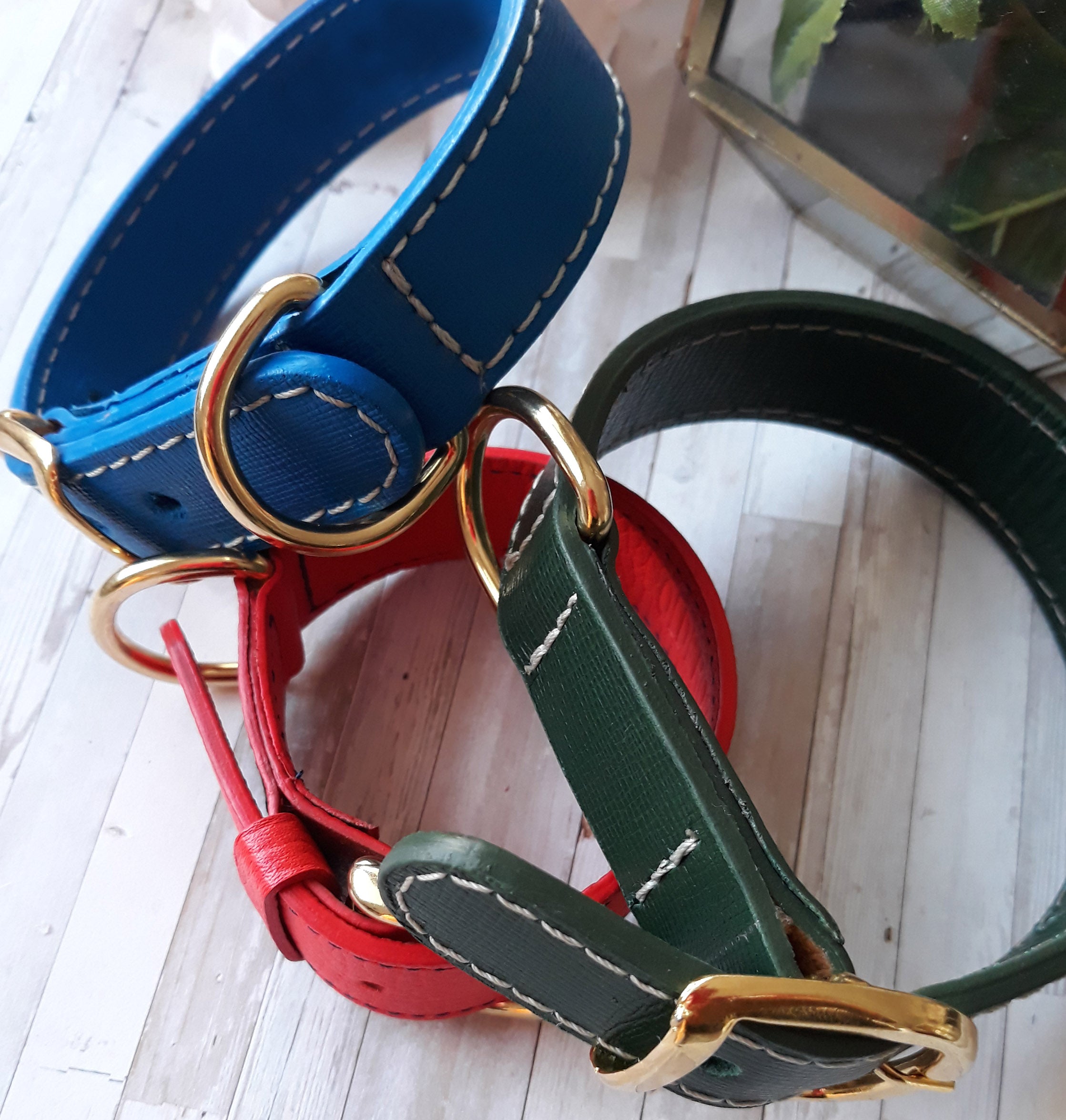Dog collars - Naya Paperie