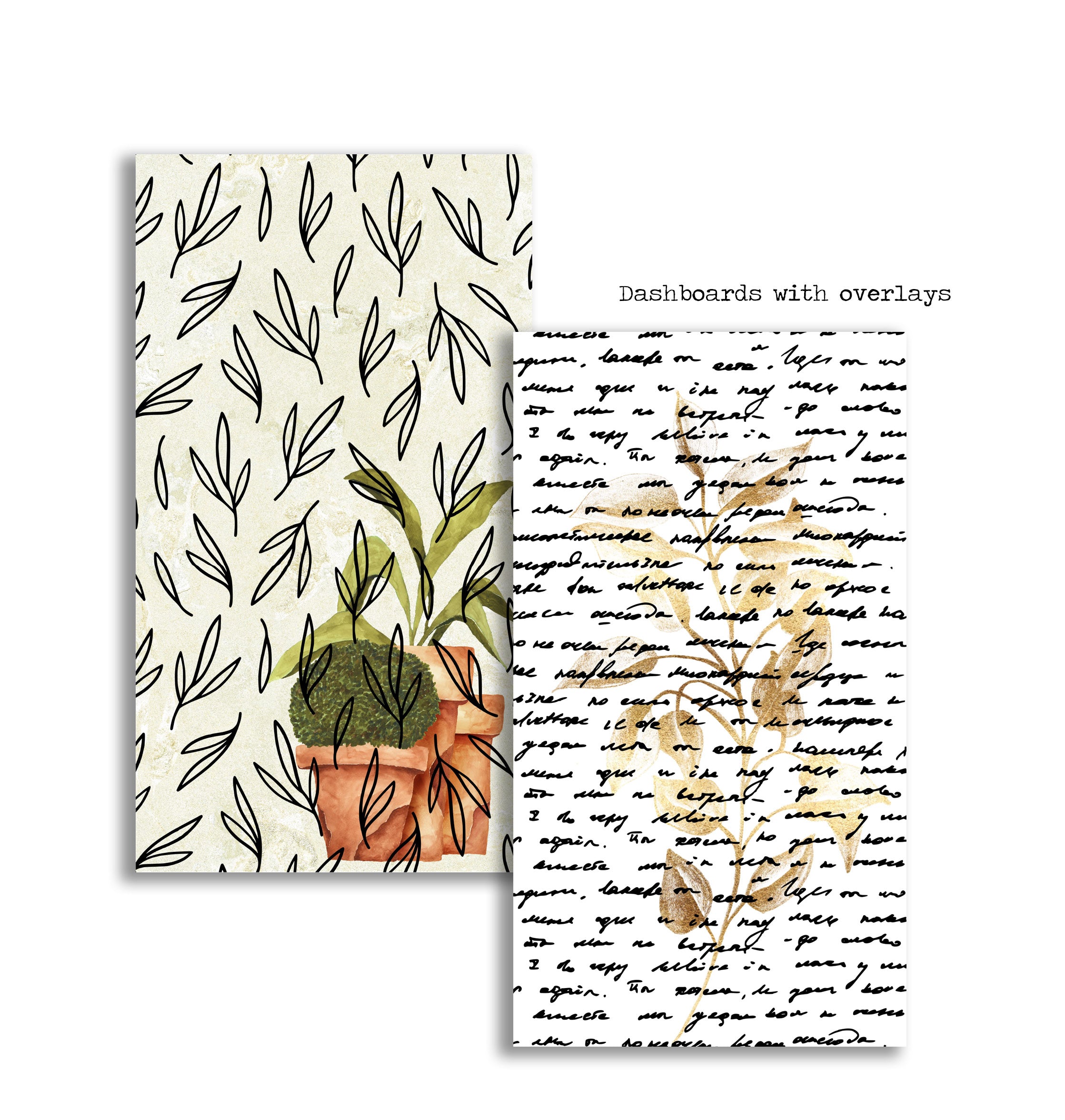 Zephyr Collection - Acetate overlays - Naya Paperie