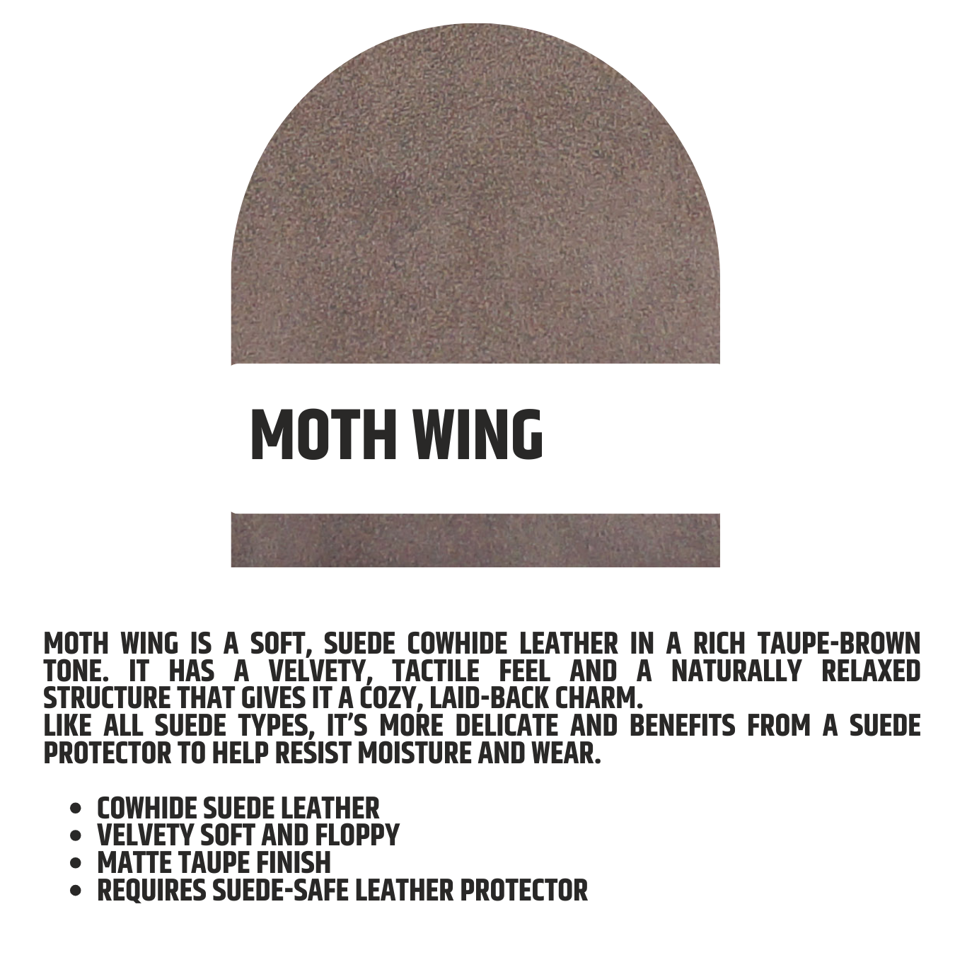 Moth Wing