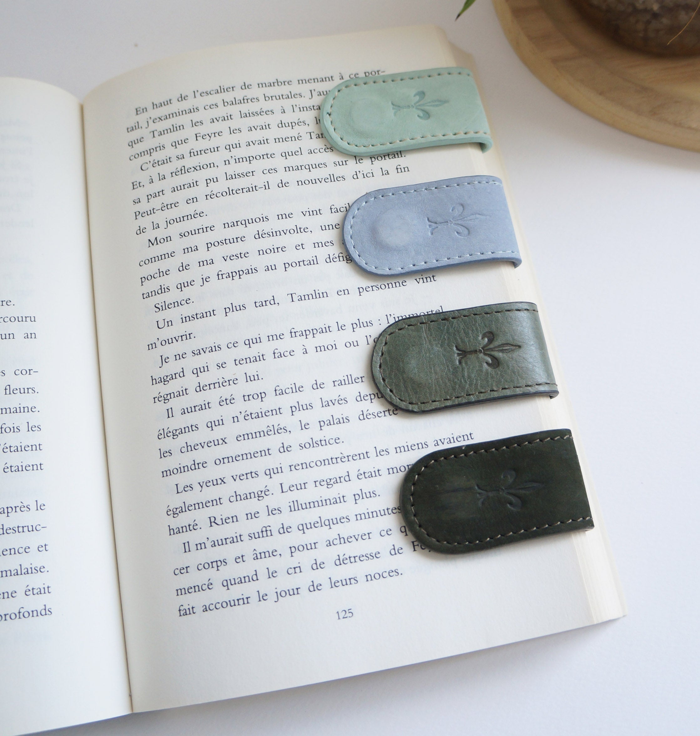 Magnetic Bookmarks - Blue and Green