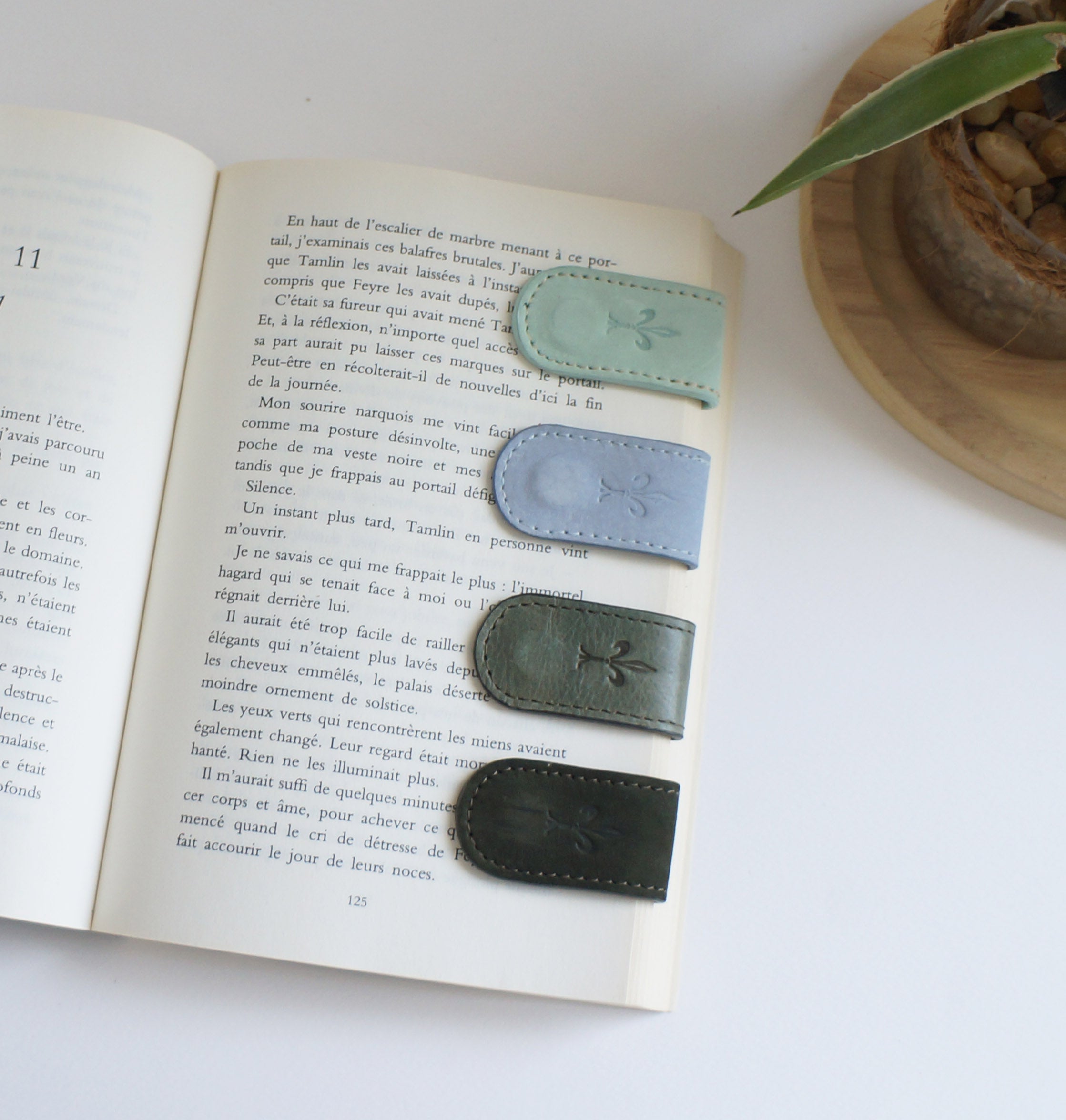 Magnetic Bookmarks - Blue and Green