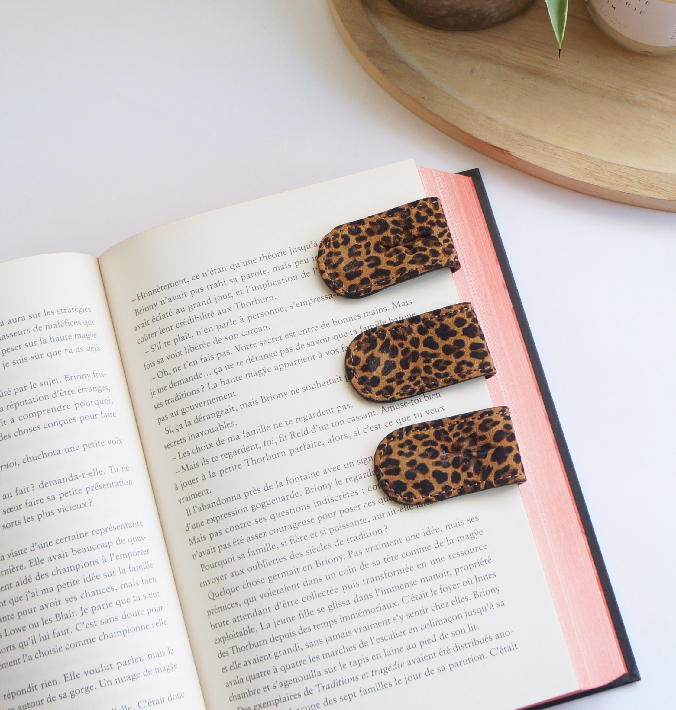 Magnetic Bookmarks - Leopard