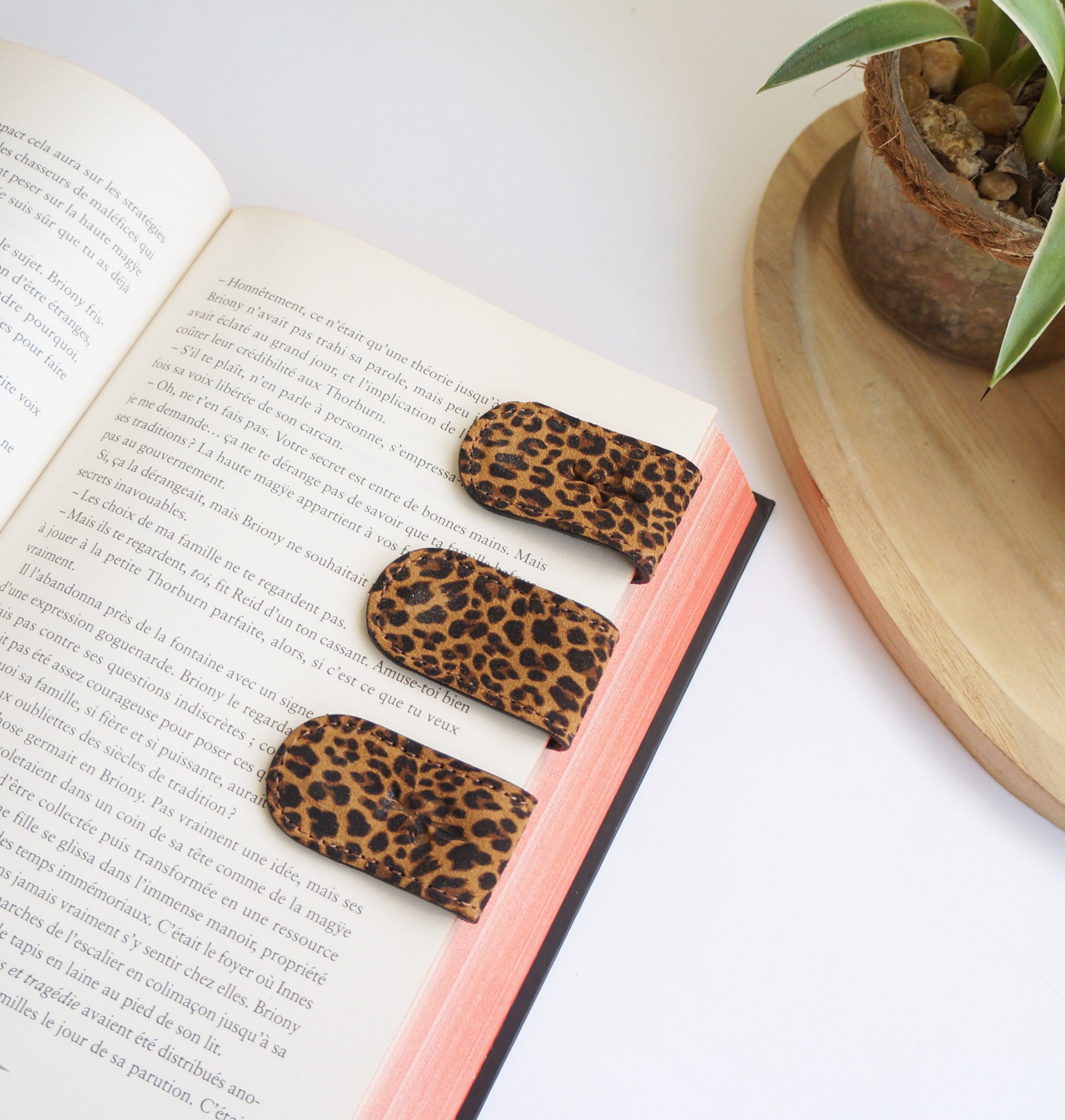 Magnetic Bookmarks - Leopard