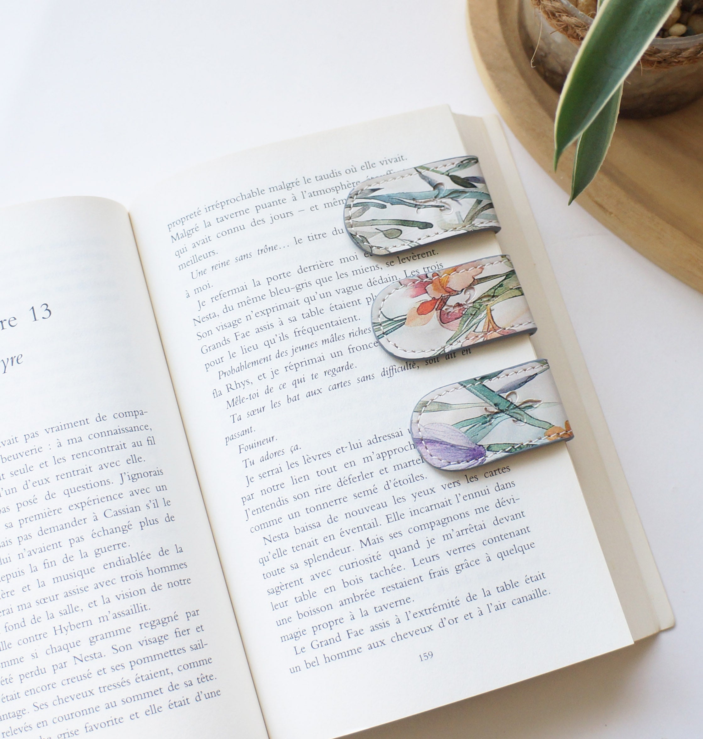 Magnetic_bookmarks_wild_flower_1.jpg?v=1763047254\u0026width=1800