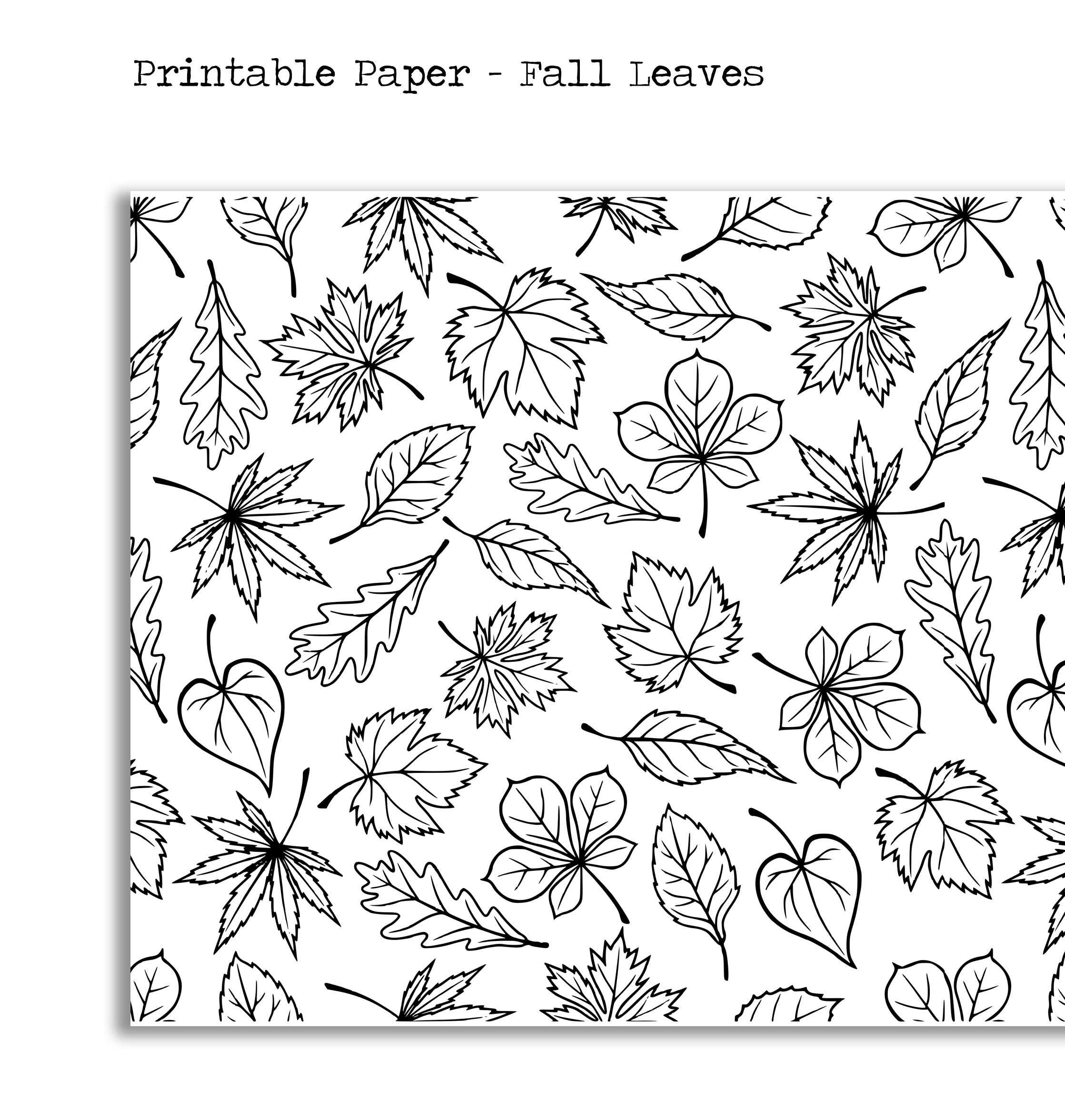 Fall Leaves - Printable Paper - Naya Paperie